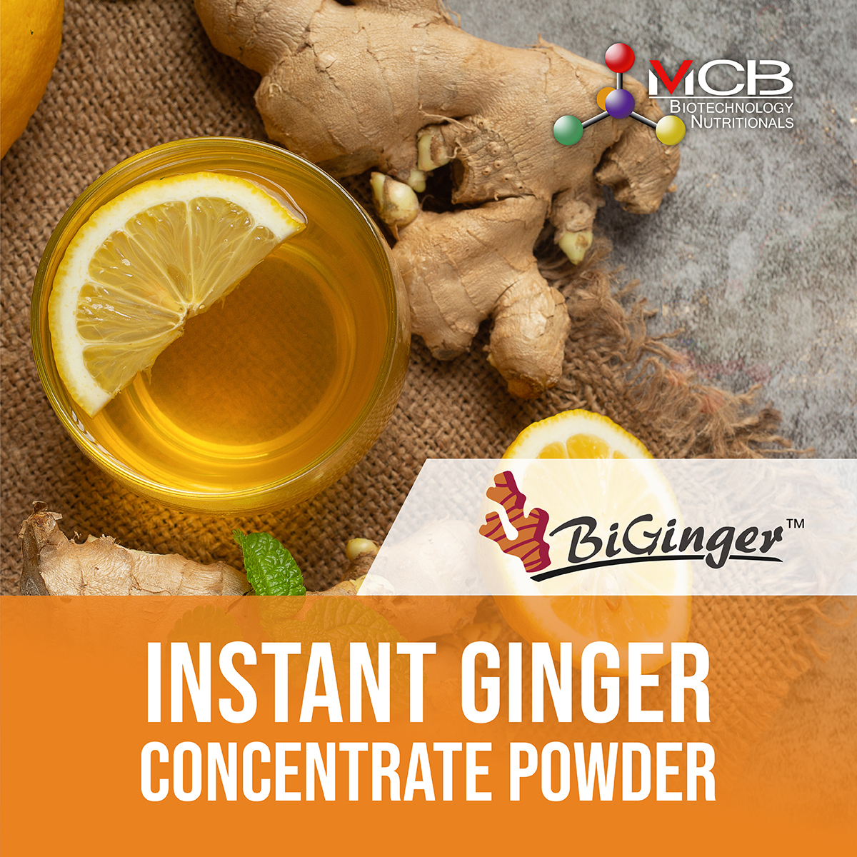 BIGINGER™ Instant Ginger Concentrate Powder
